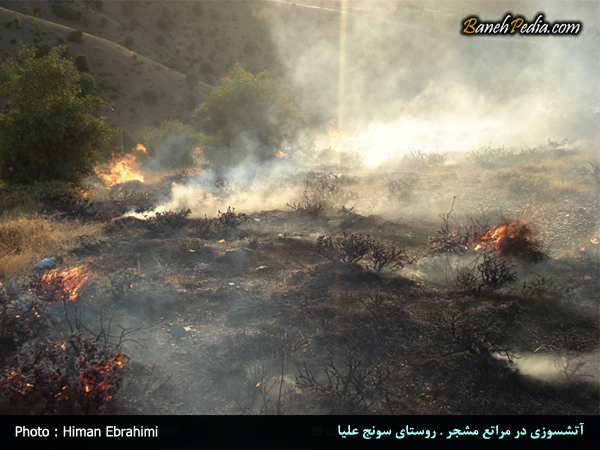 آتشسوزی در مراتع حریق در مراتع